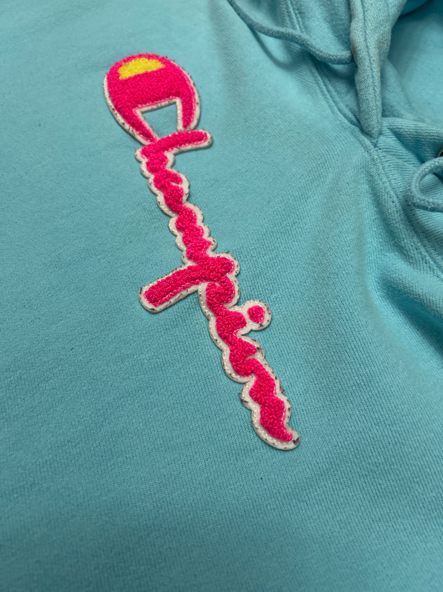 Champion hoody