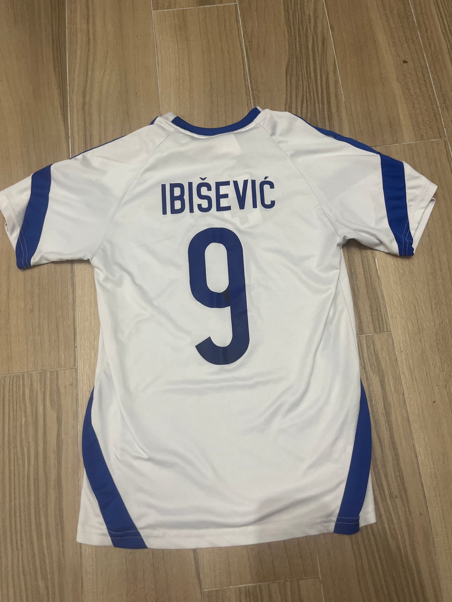 Bosnia and herzegovina Trikot